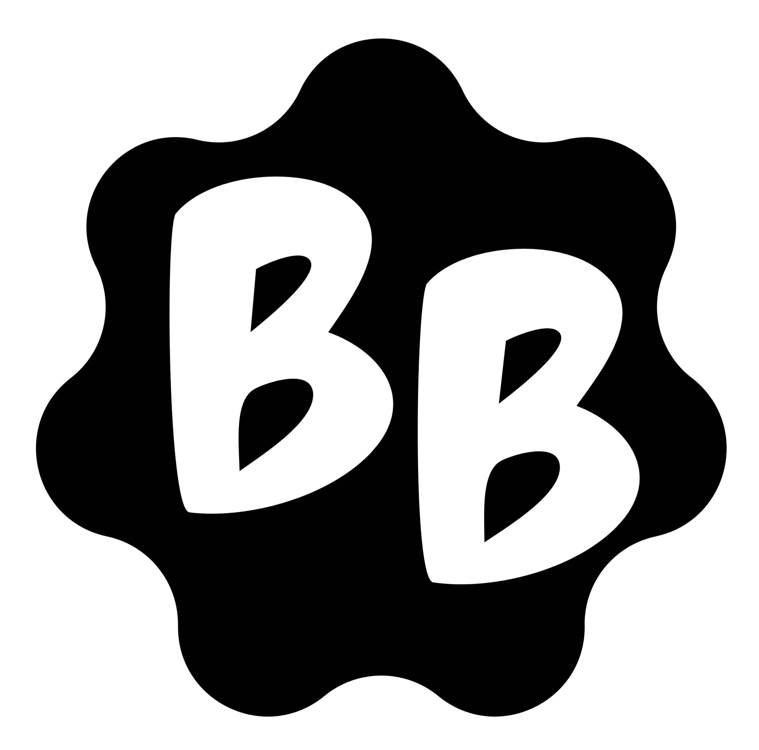 Becca Builds