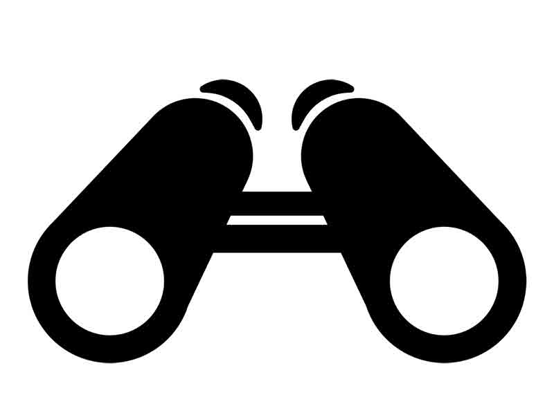 black binoculars icon